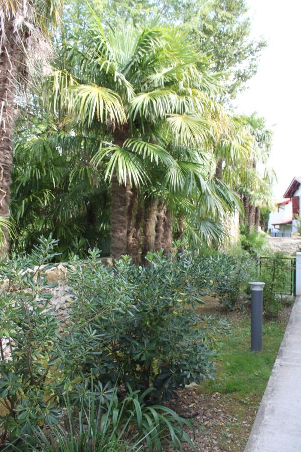 Appartement Chalet ILONA à Cambo-les-Bains Extérieur photo